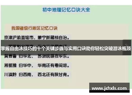 掌握自由泳技巧的十个关键步骤与实用口诀助你轻松突破游泳瓶颈